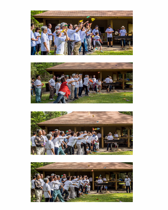 flying air planes 04222017.jpg